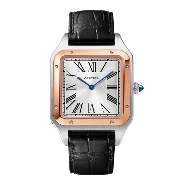 Cartier Santos dumont Pour Hommes Cuir CadranBlanc CRW2SA0017